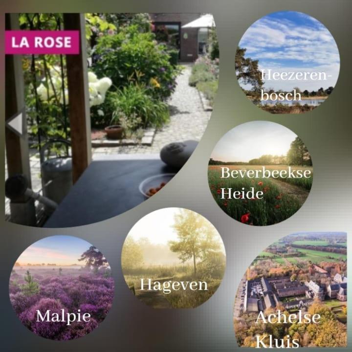 La Rose Bed and Breakfast NeerNeerpelt Exteriör bild