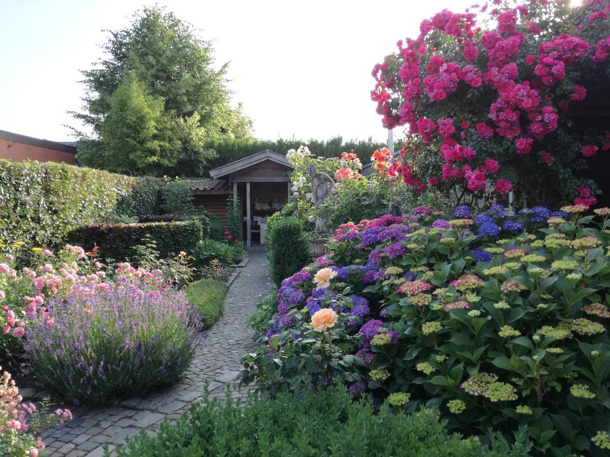 La Rose Bed and Breakfast NeerNeerpelt Exteriör bild